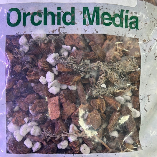 Will Grow - Orchid Mix