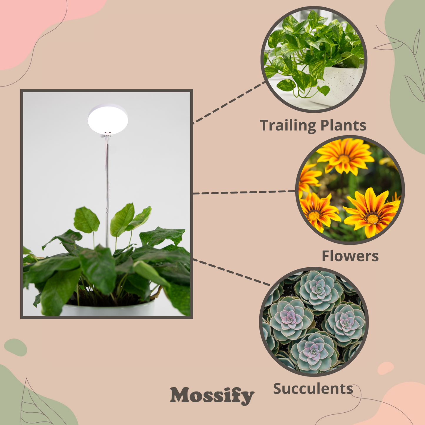 Mossify - Adjustable LED Plant Light