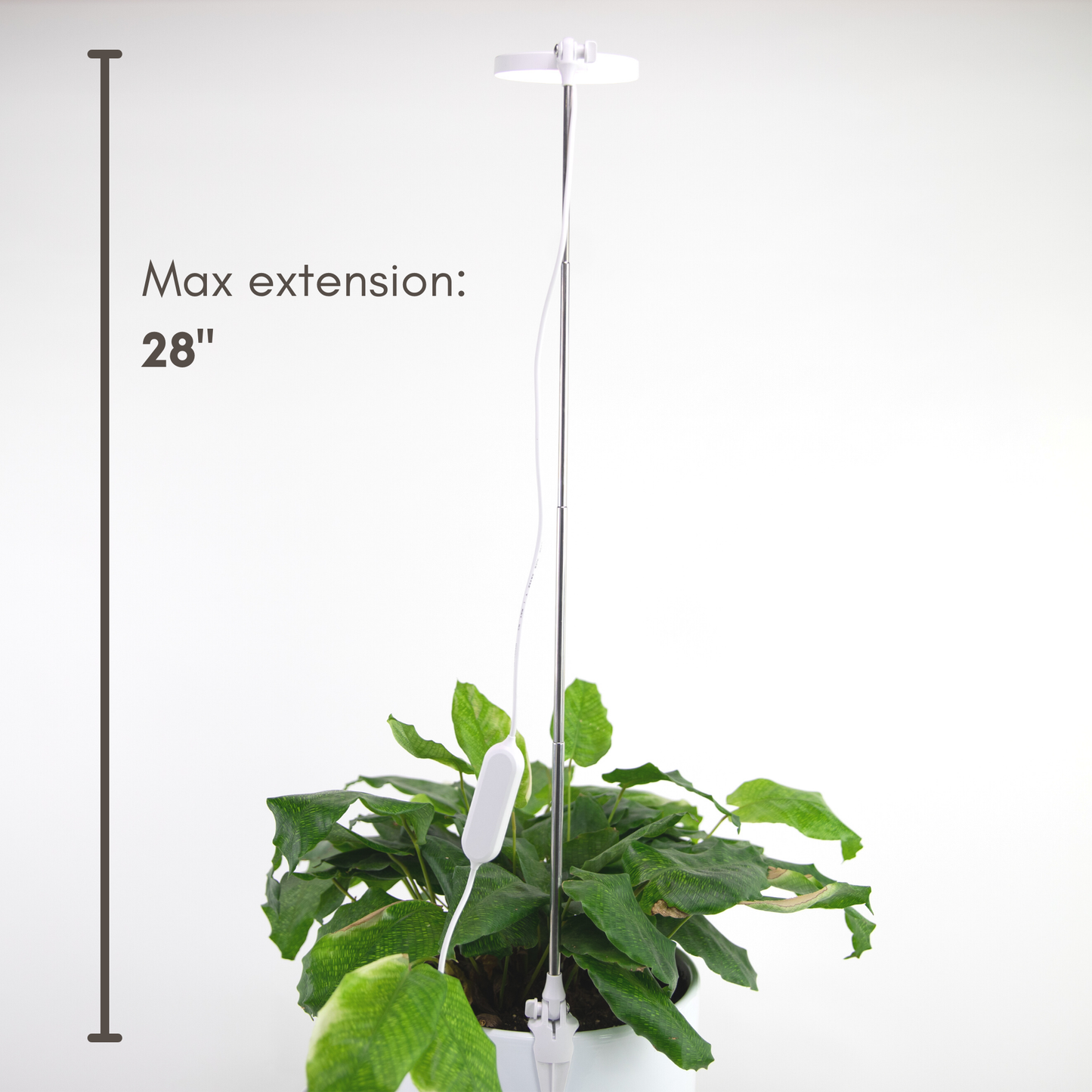 Mossify - Adjustable LED Plant Light