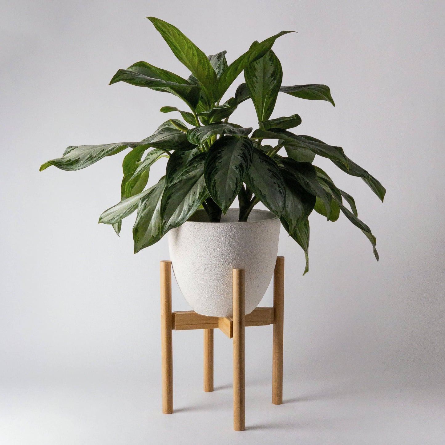 Kanso - Adjustable Bamboo Plant Stand