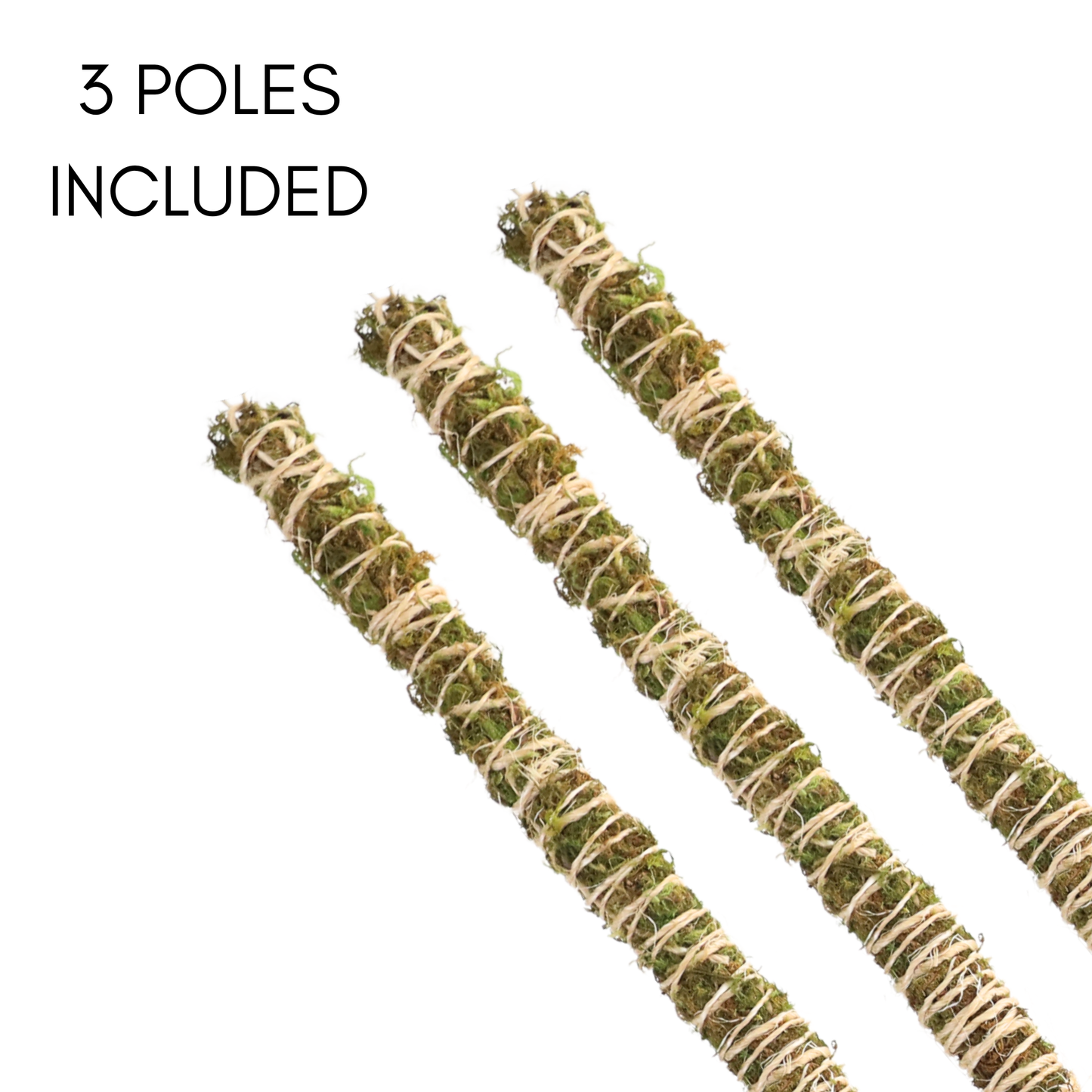 Mossify - 3 Pack Bendable Moss Pole™ 𝘛𝘏𝘐𝘕