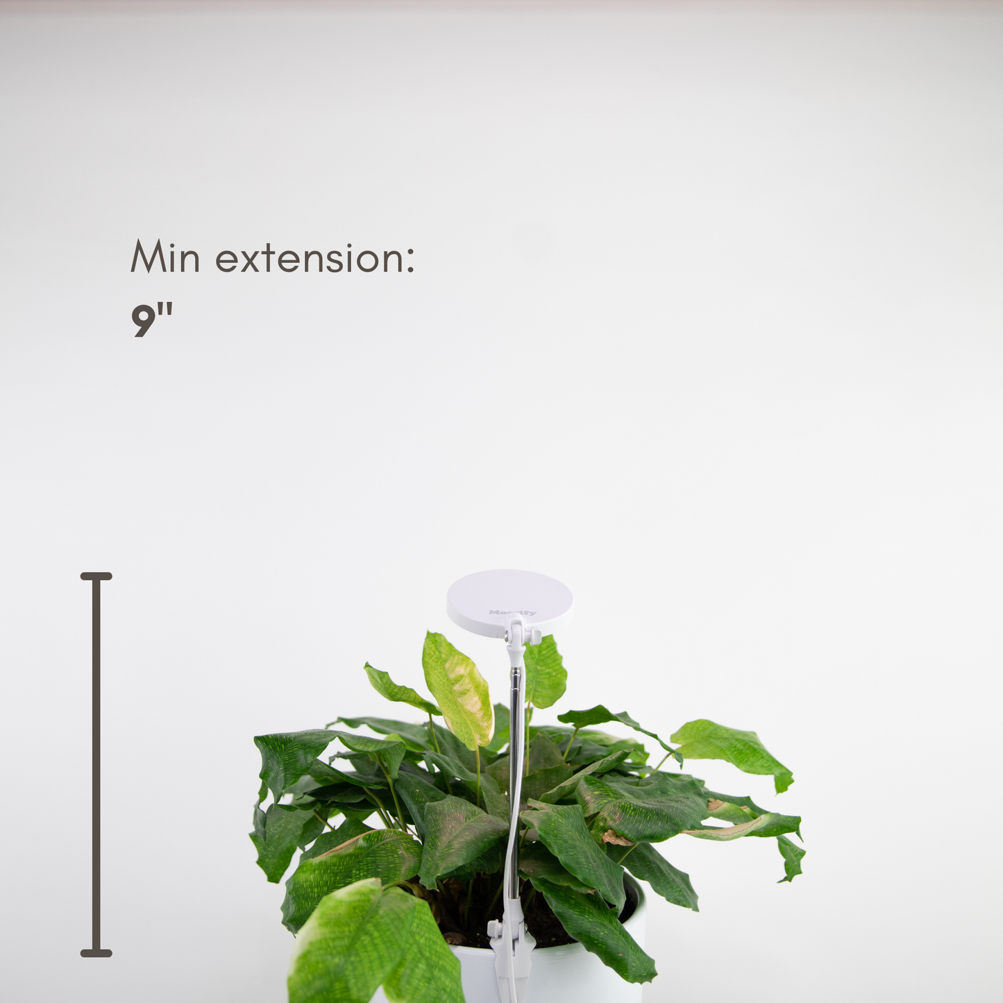 Mossify - Adjustable LED Plant Light