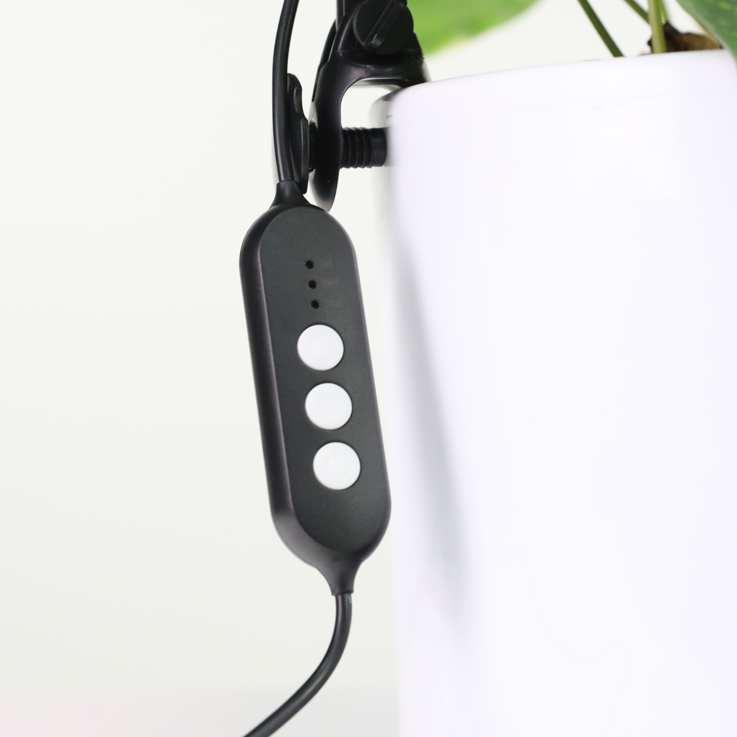 Mossify - Adjustable LED Plant Light