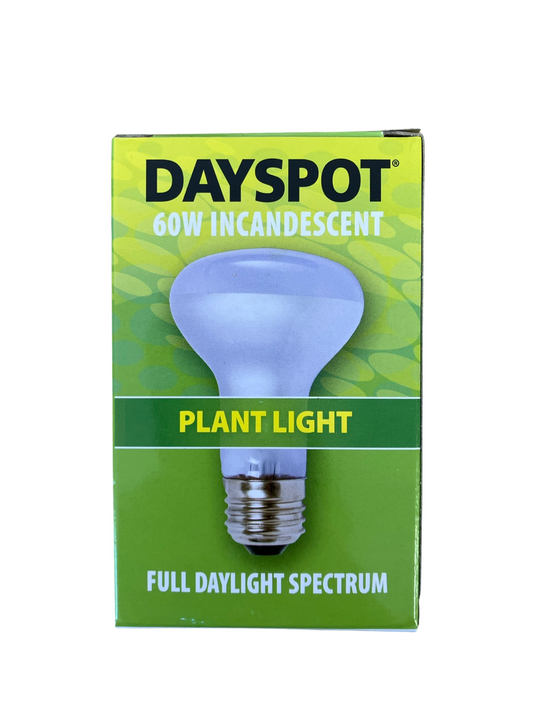 Grow Bulb - Dayspot - 60W Incandescent - Full Spectrum