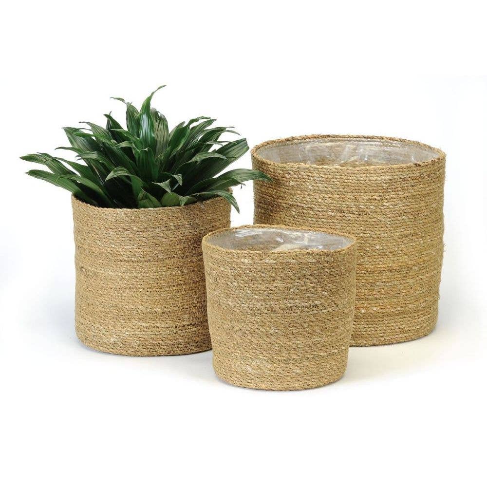 Seagrass Plant Baskets with Plastic Lining