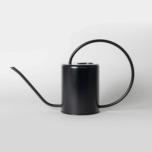 Kanso 2L Black Stainless Steel Watering Can