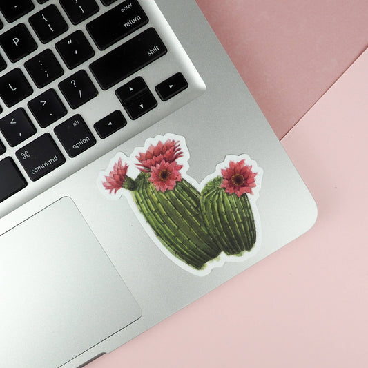 Naughty Florals - Cactus - Vinyl Sticker