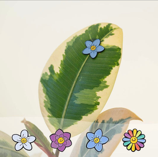 Eufolia -Flowers 4-pack - Plant Magnets