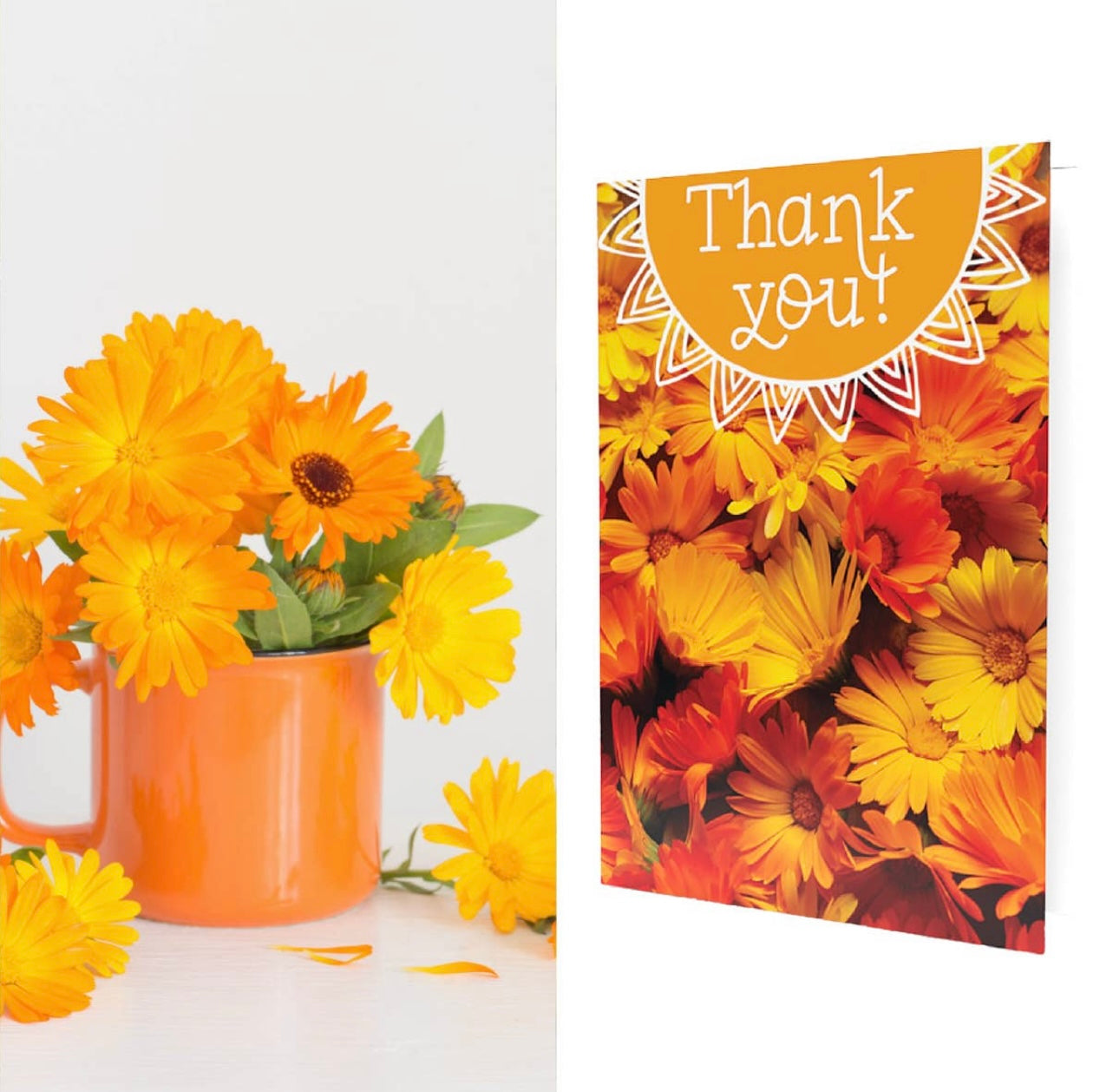Seeds the Day - Thank You Card with Flower Seeds