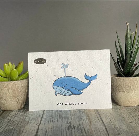 Plantable Greetings - Get Whale Soon