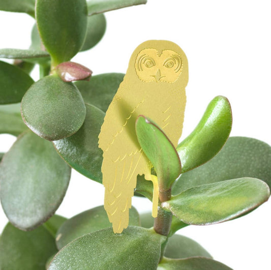 Plant Animal - Owl