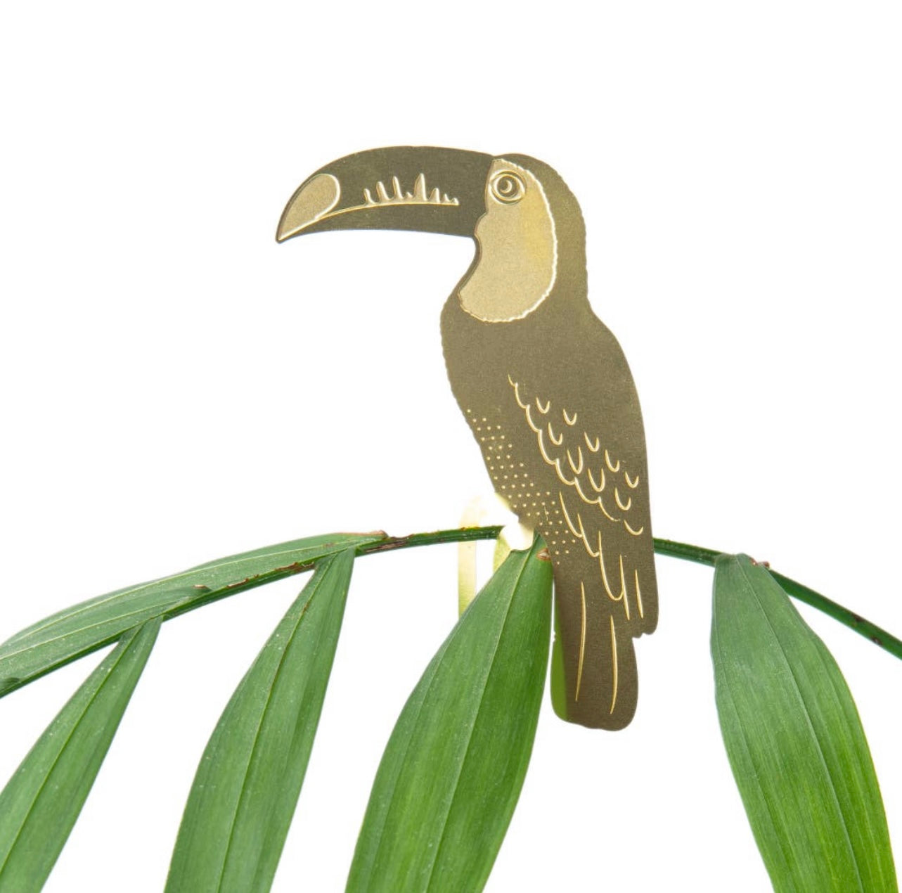 Plant Animal - Toucan